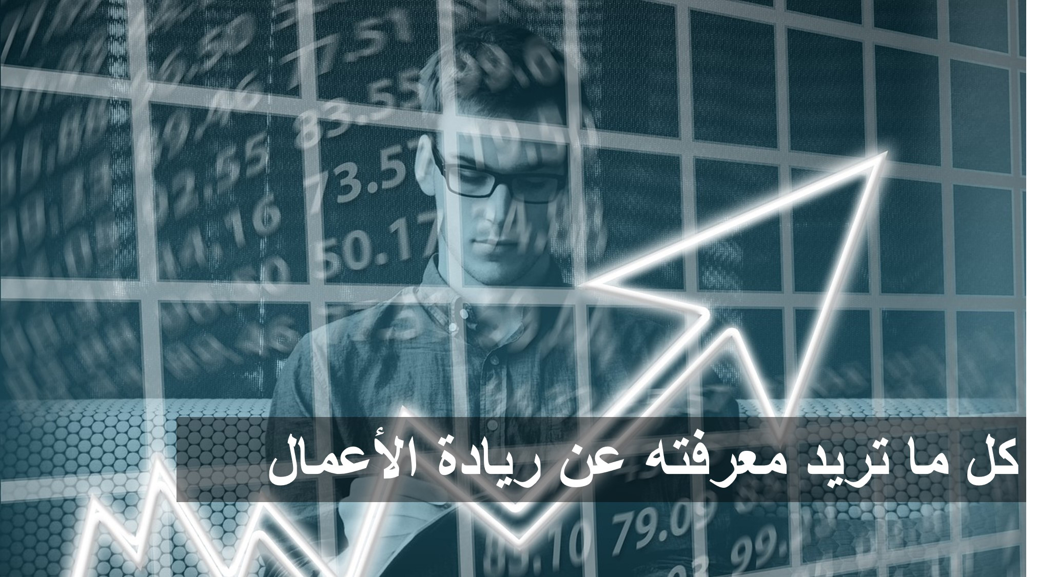 كل ما تريد معرفته عن ريادة الأعمال