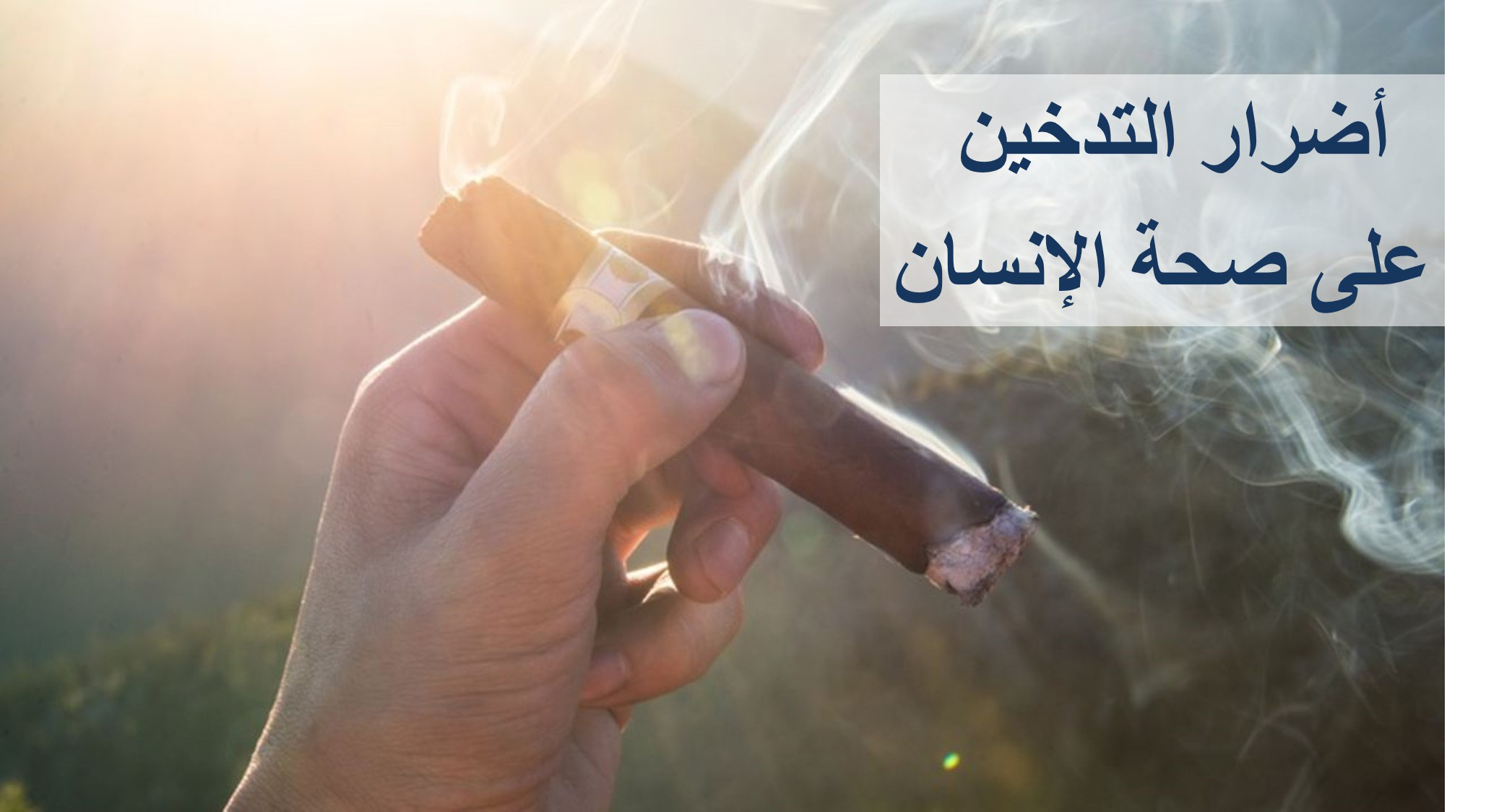 أضرار التدخين على صحة الإنسان